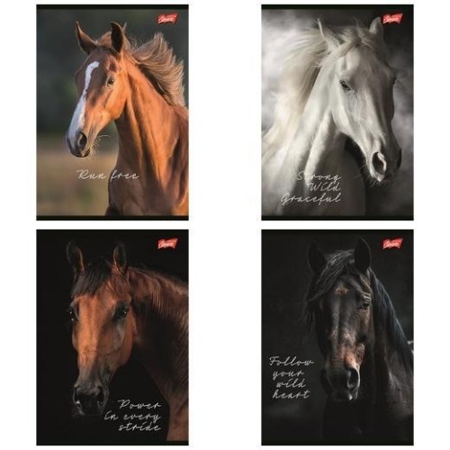 Zeszyt A5/60k linia Wild Heart (10szt), UNIPAP