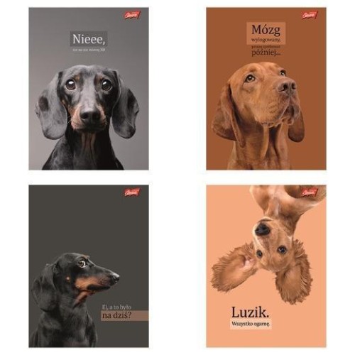 Zeszyt A5/60k linia Doggy Moods (10szt), UNIPAP
