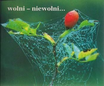 Perełka 068 - Wolni - niewolni..., praca zbiorowa