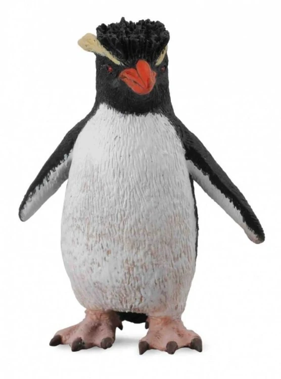 Pingwin rockhooper, Collecta