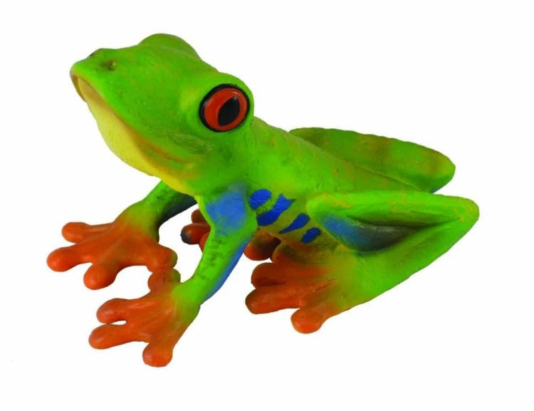 Żaba czerwonooka rzekotka drzewna, Collecta