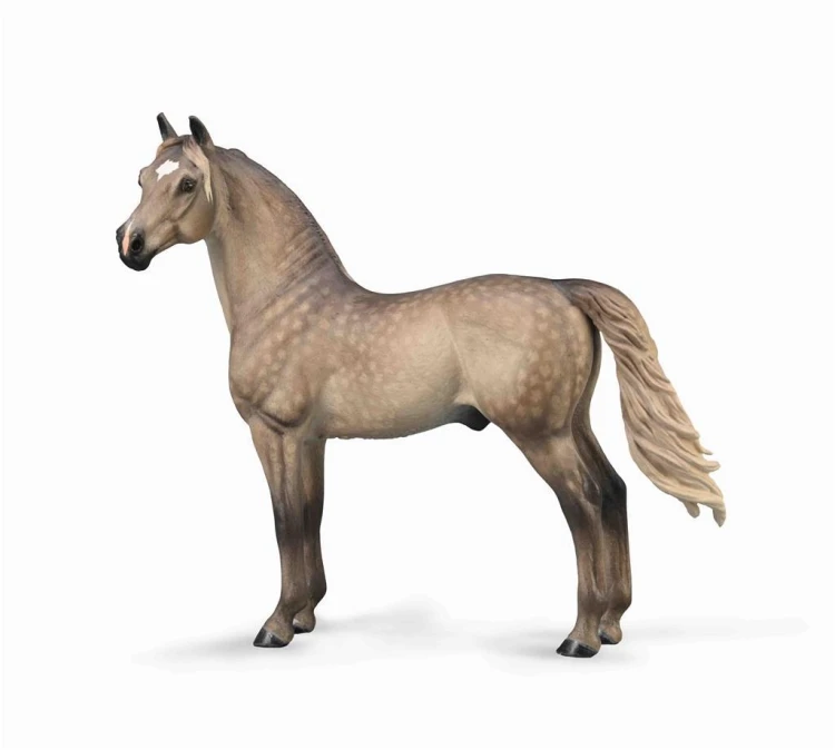 Ogier Morgan maści Silver Grulla, Collecta