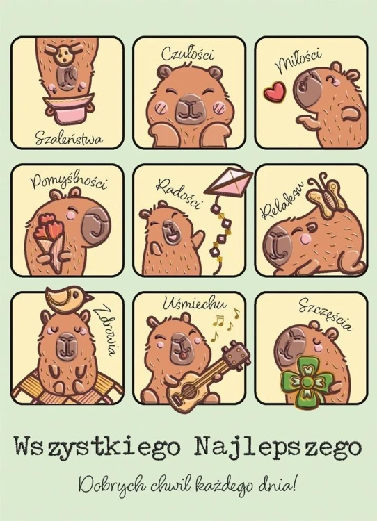 Karnet B6 Kapibary z insta