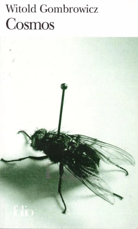 Cosmos, Witold Gombrowicz