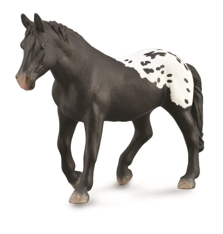 Klacz Sugarbush Draft, Collecta