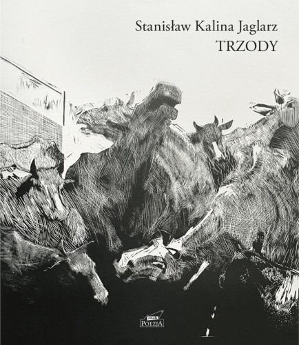 Trzody, Stanisław Kalina Jaglarz
