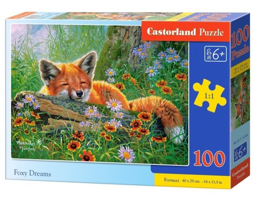 Puzzle 100 Foxy Dreams CASTOR, Castorland