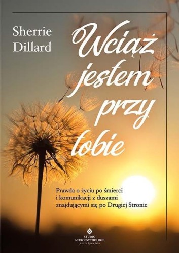 Wciąż jestem przy tobie, Sherrie Dillard