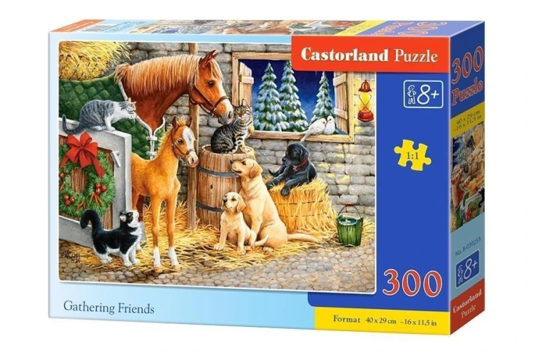 Puzzle 300 Gathering Friends CASTOR, Castorland