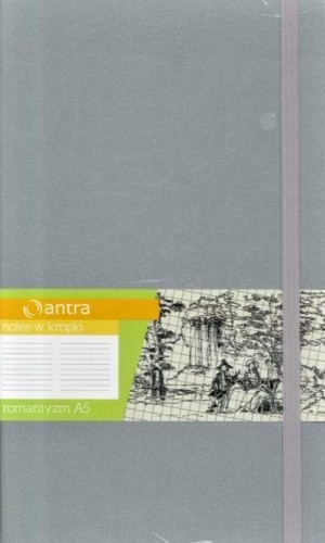 Notes A5 Kropki Romantyzm Srebrny ANTRA, Antra