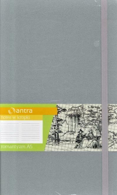 Notes A5 Kropki Romantyzm Srebrny ANTRA, Antra