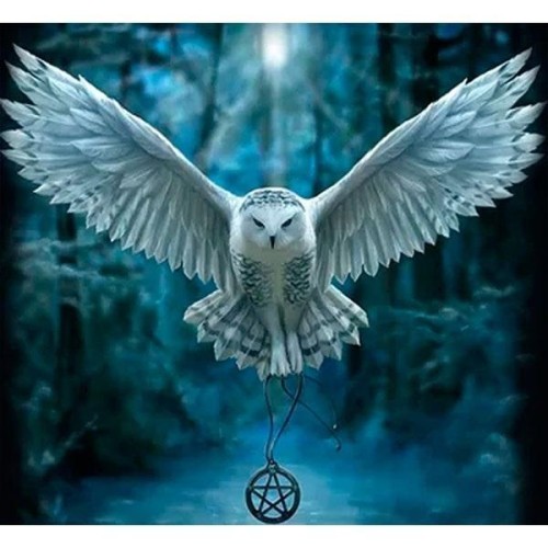 Mozaika diamentowa 5D - Sowa 40x30cm, Titanum