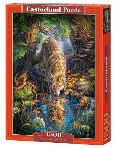 Puzzle 1500 Wolf in the wild CASTOR, Castorland