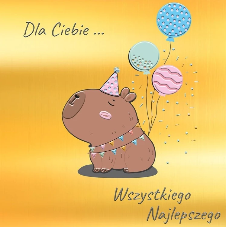 Karnet KW Kapibara dla ciebie