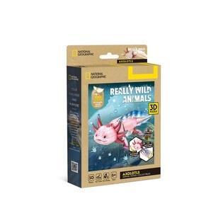 Puzzle 3D National Geographic Aksolotl 50el
