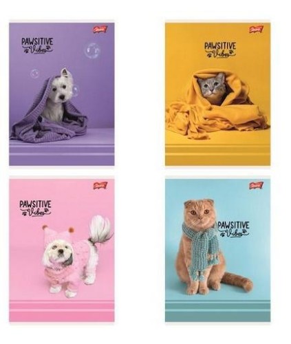 Zeszyt A5/32k linia kolorowa Pawsitive (15szt)