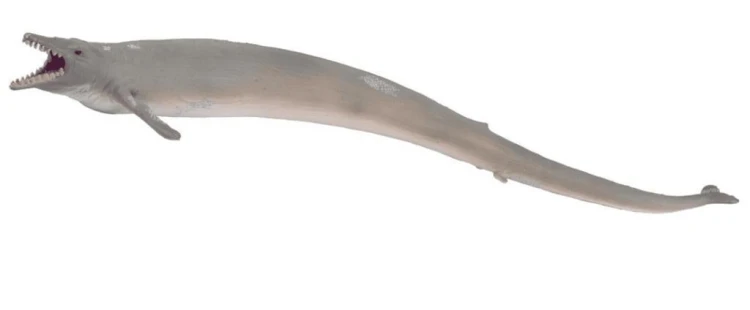 Dinozaur Bazylozaur, Collecta