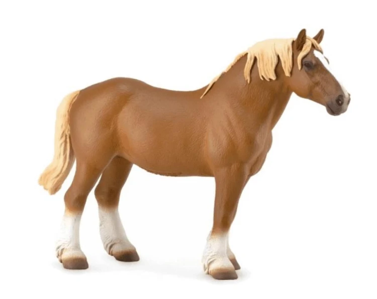 Ogier Belgian Mare gniady, Collecta