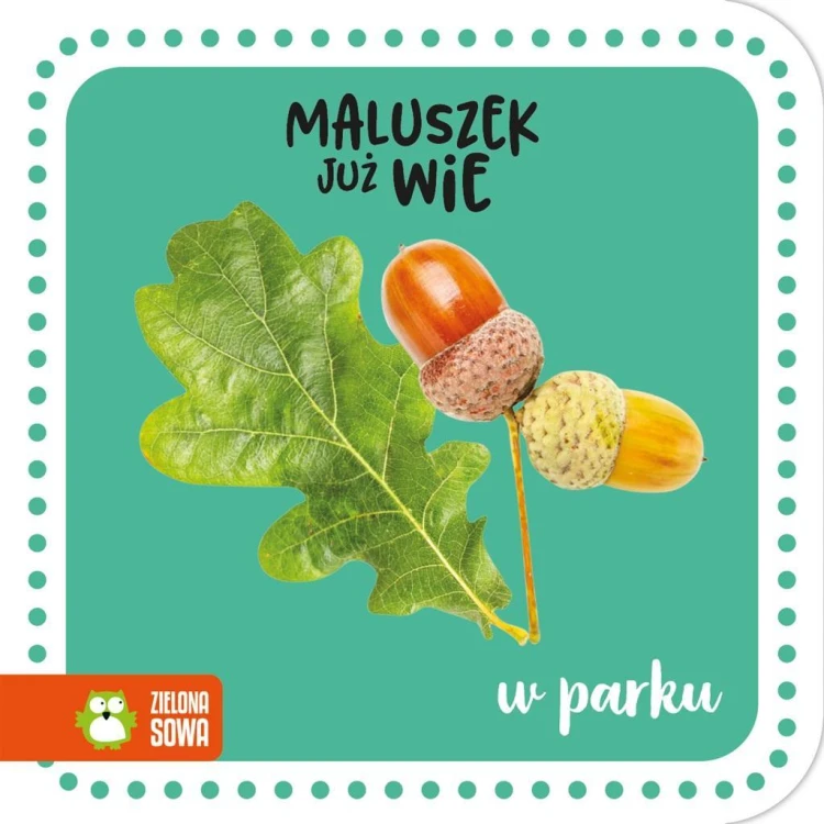 Maluszek już wie. W parku, praca zbiorowa