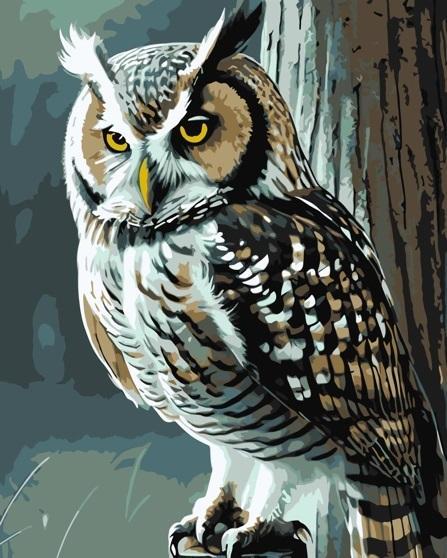 Malowanie po numerach - Mądra sowa 40x50cm, Qbee