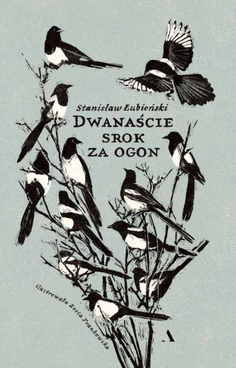 Dwanaście srok za ogon, Stanisław Łubieński