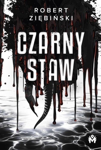 Czarny Staw, Robert Ziębiński