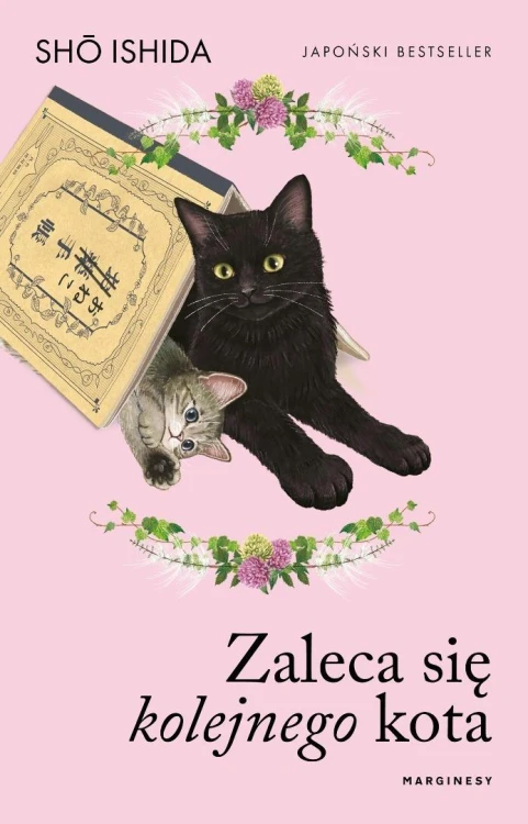 Zaleca się kolejnego kota, Sho Ishida