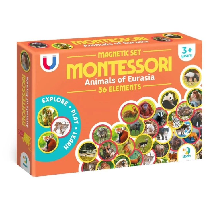 Zestaw magnesów Montessori Zwierzęta Eurazja, Dodo
