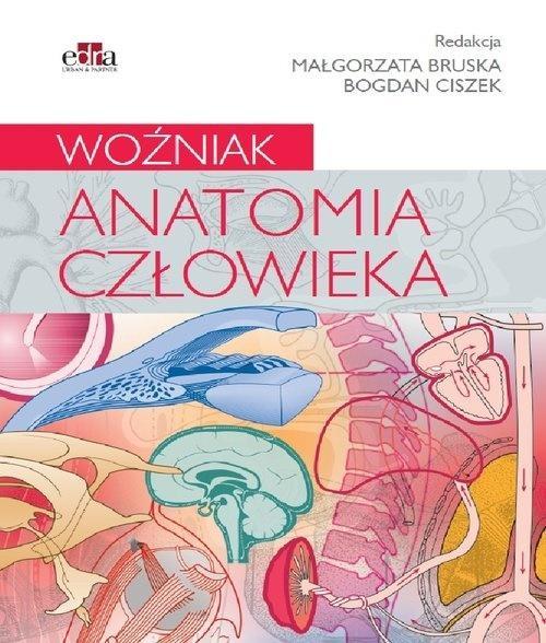 Anatomia człowieka. Woźniak, praca zbiorowa