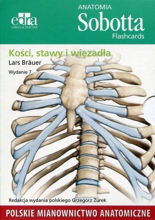 Anatomia Sobotta. Flashcards - Kości, stawy..pol.