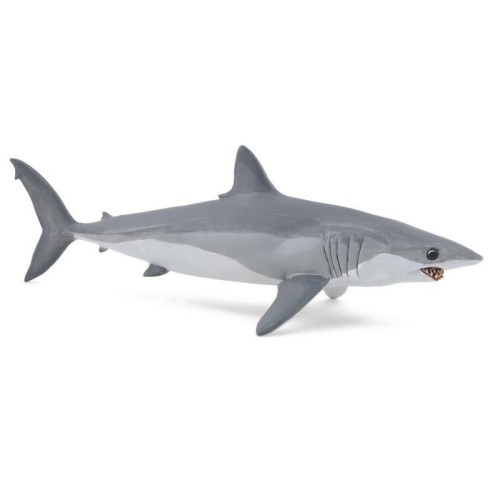 Ostronos atlantycki (rekin mako), PAPO