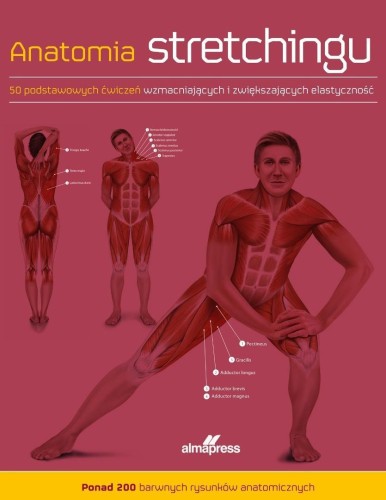 Anatomia stretchingu, Ken Ashwell