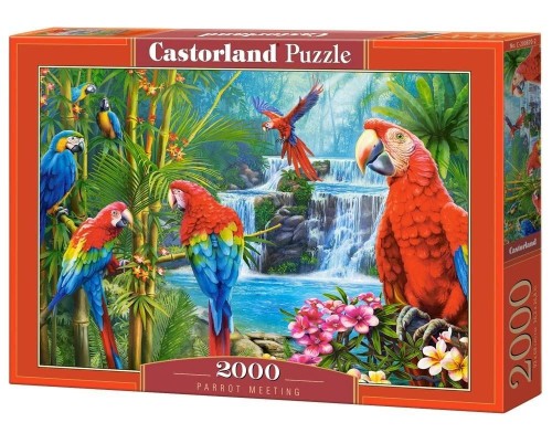 Puzzle 2000 Parrot Meeting CASTOR, Castorland