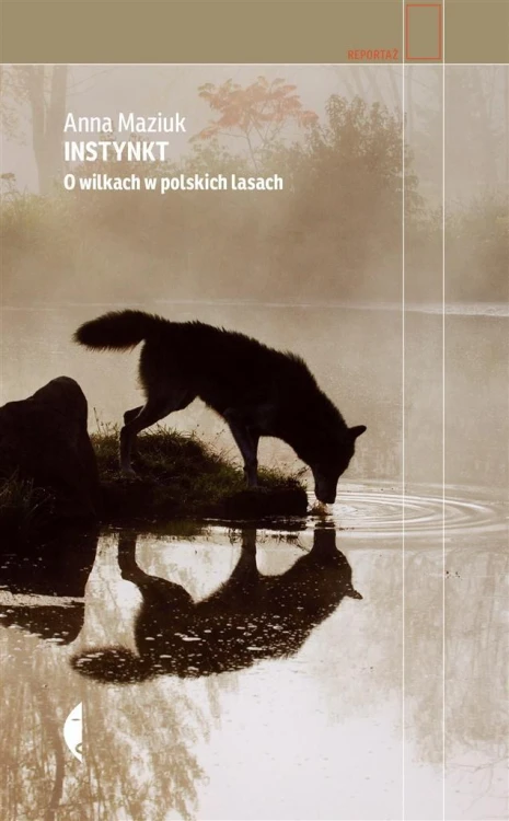Instynkt. O wilkach w polskich lasach, Anna Maziuk