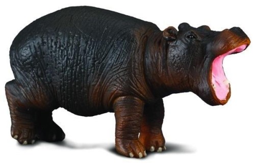 Hipopotam młody, Collecta