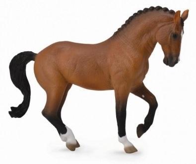 Klacz rasy Hanowerski Gniada, Collecta