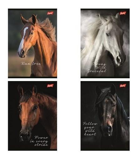 Zeszyt A5/60k kratka Wild Heart (10szt), UNIPAP