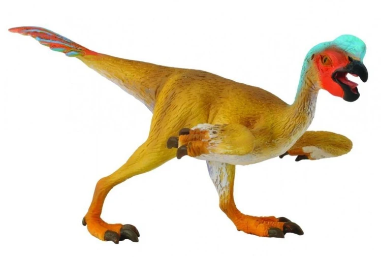 Dinozaur Owiraptor, Collecta