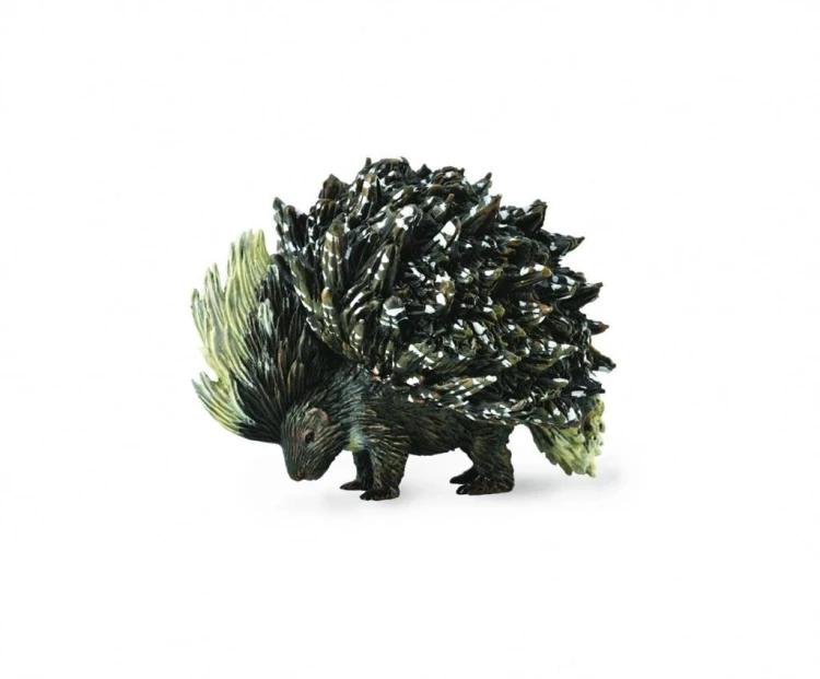 Jeżozwierz indyjski, Collecta