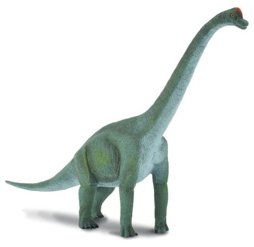 Dinozaur Brachiozaur, Collecta