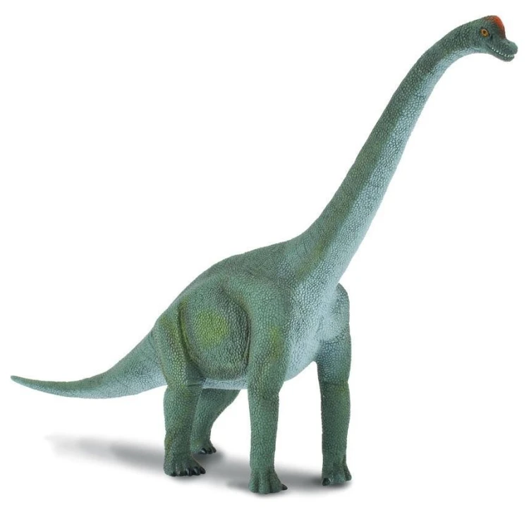 Dinozaur Brachiozaur, Collecta