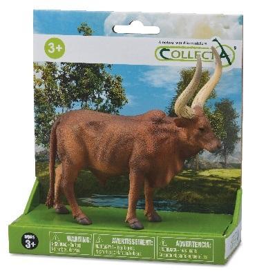 Byk Ankole-Watusi, Collecta
