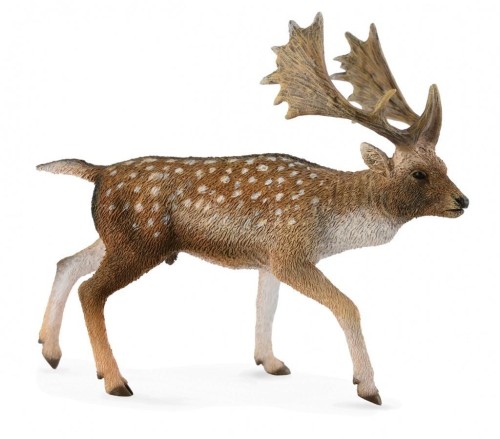 Jeleń daniel samiec, Collecta