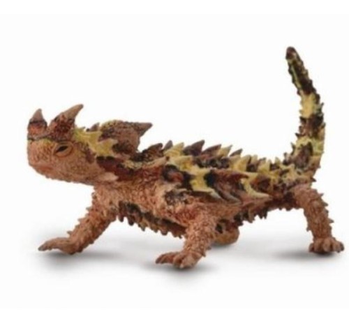 Moloch straszliwy, Collecta