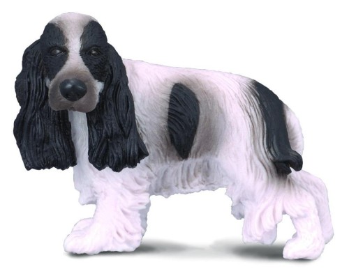 Pies cocker spaniel angielski, Collecta