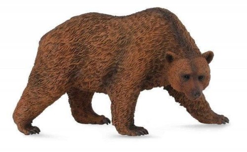 Niedźwiedź brunatny, Collecta