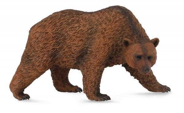 Niedźwiedź brunatny, Collecta