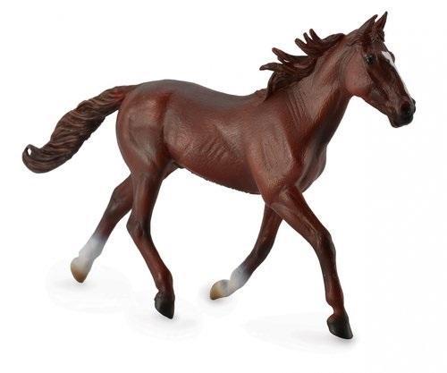 Ogier standardbred pacer kasztanowy, Collecta