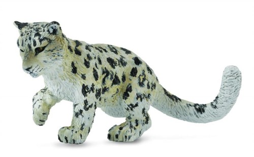 Leopard młody śnieżny bawiący się, Collecta