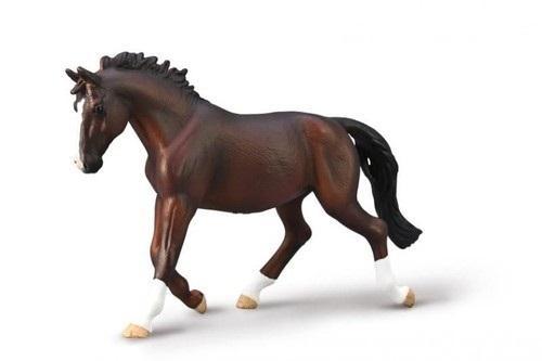 Klacz Oldenburg maści kasztanowej, Collecta